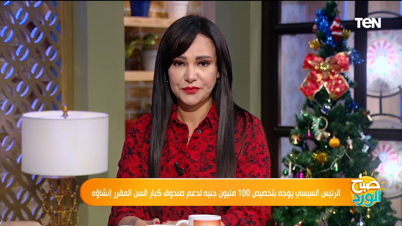 كل ما تريد معرفته عن "صندوق كبار السن" بعد تخصيص السيسي 100 مليون جنيه لصالحه من عادل السنهوري