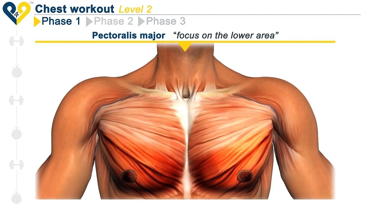Chest Workout Level 2
