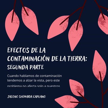-Jacobo Shemaria Capuano- Soluciones para reducir la contaminación del suelo: (Parte 2) (Creado por @JacoboShemariaCapuano)