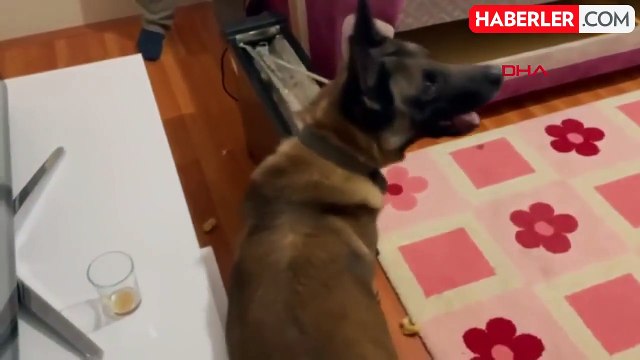 Kırıkkale'de 1792 sentetik hap ve 5 gram esrar ele geçirildi