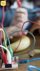 How to Choose the Right Field? || Acharya Prashant