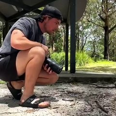 Rencontre magique avec une mère kangourou et son petit !