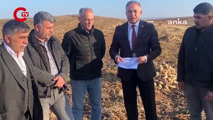 Şeker pancarı üreticileri isyan etti! "Kendi hatasından kaynaklanan zararı bize yüklüyorlar..."
