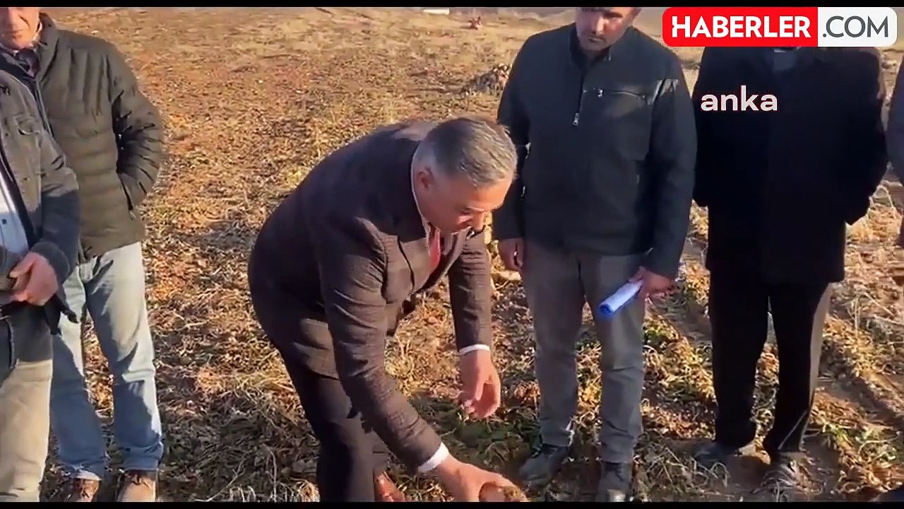 Çorumlu Şeker Pancarı Üreticileri: "Safi Şeker Kendi Hatasından Kaynaklanan Zararı Yine Bize Yüklüyor.