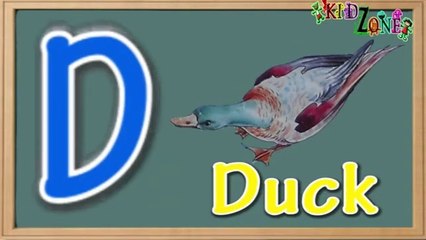 All About Birds for Children | Animal Learning | Educational Video For Kids