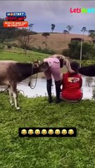 Funny video part No 6