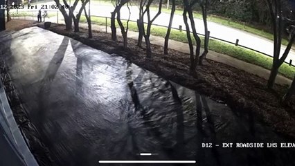 Would-be thief chased off by former Olympian