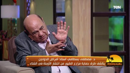 د. مصطفى بسطامي أستاذ أمراض الدواجن يتحدث عن مرض "إيدز الطيور"..  الأسباب والأعراض وكيفية العلاج