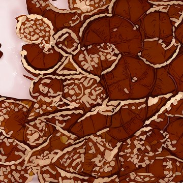 Découvrez les galettes des rois chez Lidl : cherchez la fève gagnante pour remporter des surprises !