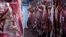 Milei permite la exportación de carne de vacuno prohibida por Alberto Fernández