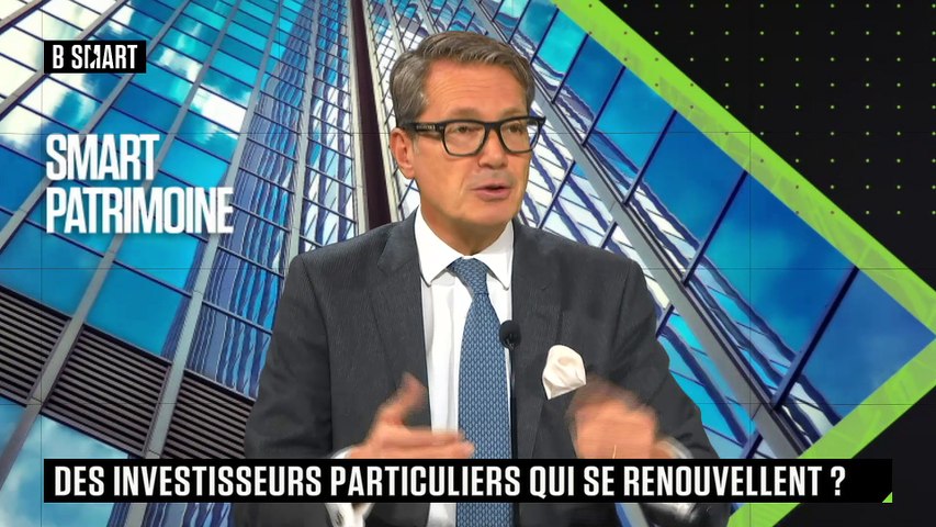 Portrait des investisseurs individuels en France 