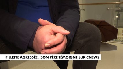 Le témoignage du père de la fillette de 7 ans agressée au Trocadéro : «L’individu est arrivé par surprise, par derrière»