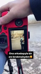 Bir sokak fotoğrafçısının kedi seven bir çocukla yakaladığı şahane kareler 