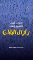 حول العالم | زلزال بقوة 7.4 يضرب اليابان .. وسلوك غريب اتبعته الطيور خلال تأثيره!