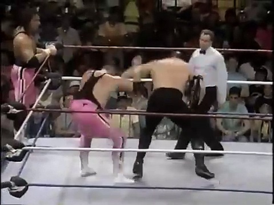 Hart Foundation vs Powers of Pain