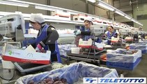 Video News - PARITA' DA RAGGIUNGERE NEL LAVORO