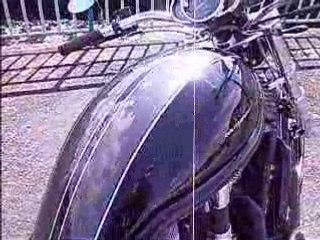 harley davidson v-rod modele unique
