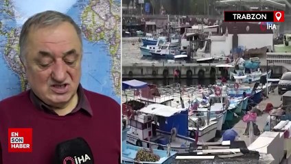 Deniz salyangozu ihracatı hamsiyi solladı