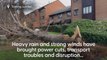 Woman Taken To Hospital After Being Struck By A Tree As Storm Henk Hits The Uk Original Video M245267