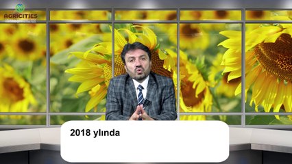 Bitkisel Üretim 2023 Yılında Artarken Önyargılarda Düşme Olmuyor