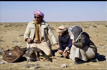 سيف بن زايد يسأل: وين هذا المكان في الإمارات؟