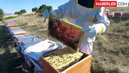 Orman Bölge Müdürlüğü'nden arıcılık ve GES desteği