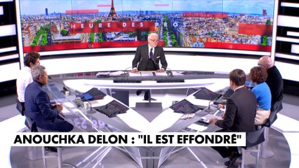 Video herunterladen: Georges Fenech : «Toute décision concernant l'intérêt d'Alain Delon sera prise par le juge des tutelles après un conseil de famille»