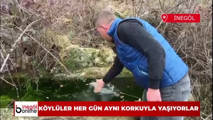 Köyün suyu kesildi, hayvanlar korkudan telef oldu