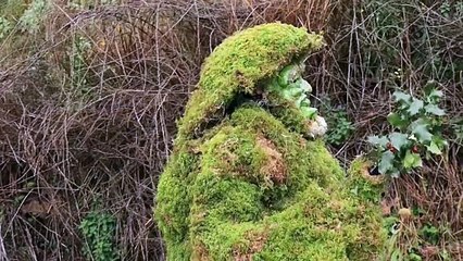 Arranca el primer carnaval del año en Cantabria