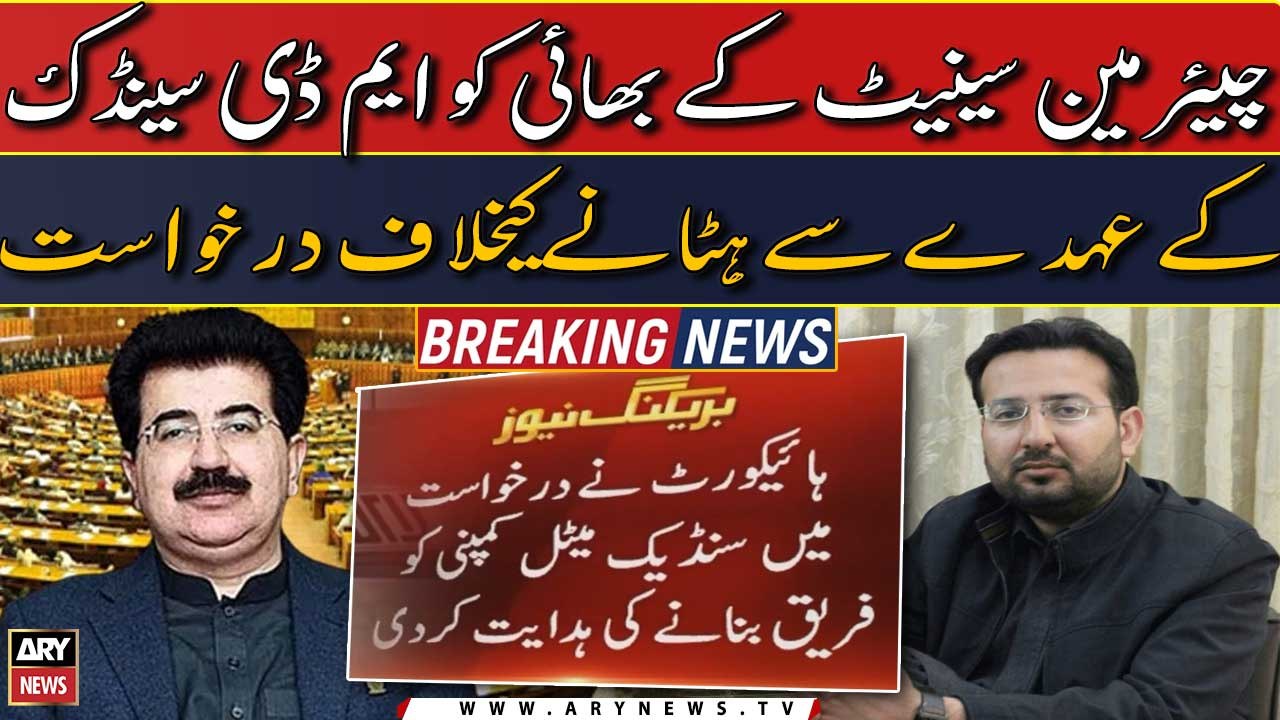 Petition against removal of Chairman Senate's brother from MD Saindak Metals position