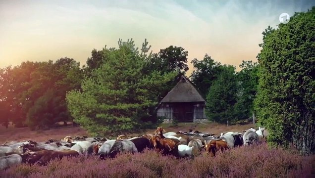 Rote Rosen 3898 folge