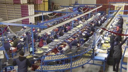 El mercado laboral cierra 2023 con máximo anual de afiliados