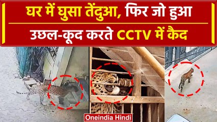Gurugram स्थित एक घर में घुसा Leopard, तेजी से Viral होने लगा है Video | वनइंडिया हिंदी