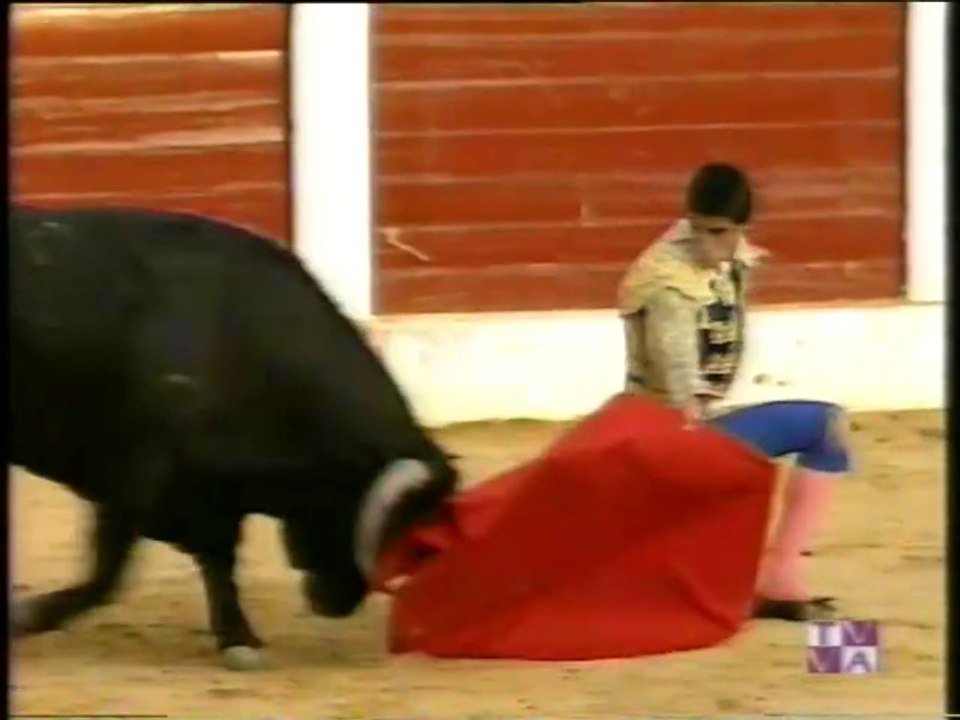 TARDE DE TOROS - JESULIN DE UBRIQUE - EL LITRI - MANOLO SANCHEZ - ISCAR - 6 AGOSTO 1996