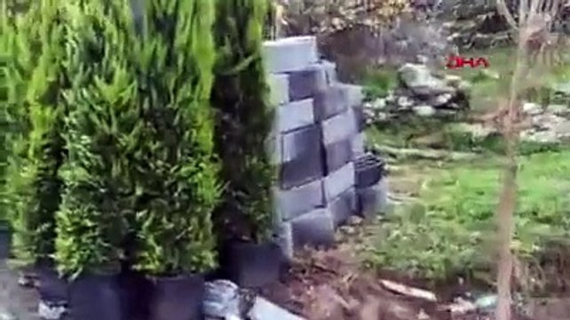Pes artık! Kaçak inşaatı ağaç dallarıyla gizlemeye çalıştılar