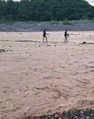 Rescate de un perrito en el río de Reyes