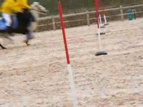 Corde Blond Team Peillard Pony Games