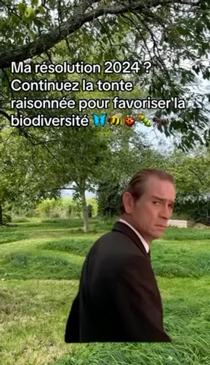 Cette année, essayez la tonte raisonnée afin de favoriser la biodiversité ! Cette technique permet simplement de laisser des parties de votre pelouse à l’état sauvage afin de favoriser la biodiversité.