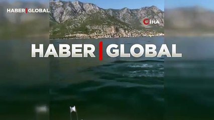 Yer Antalya: Yunuslar balıkçıların ağzını açık bıraktı  “Sırılsıklam oldum, delirdi bu, çılgın”