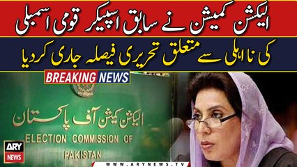 ECP Sindh Return Orders regarding Former Speaker National Assembly Fehmida Mirza