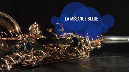 2023 Duo Epenoy & Even - La mésange bleue * Trigone Production