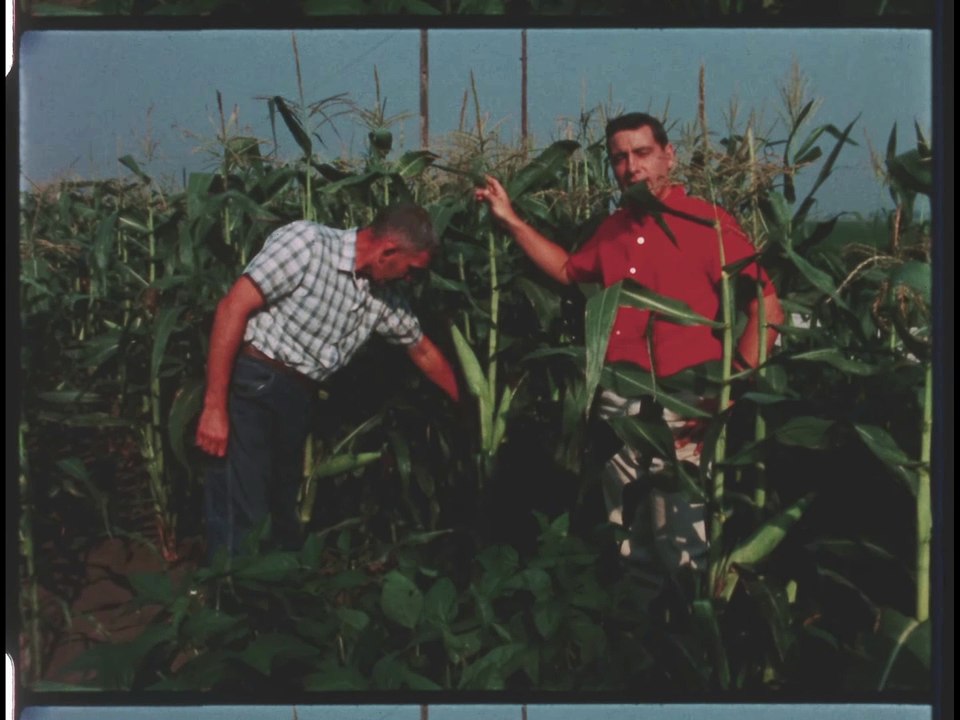 ABC Discovery 68 The Farm Country with Bill Owen