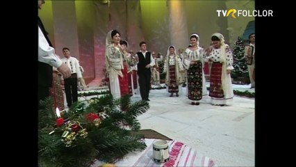 Gheorghita Nicolae - Ce facui, Doamne, facui (Petrecere cu olteni - TVR - 2009)