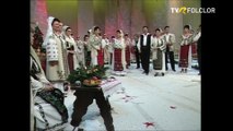 Gheorghita Nicolae - Oltenii din Romanati (Petrecere cu olteni - TVR - 2009)
