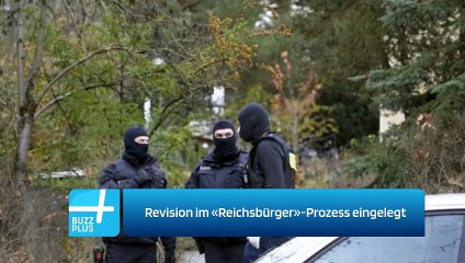 Revision im «Reichsbürger»-Prozess eingelegt