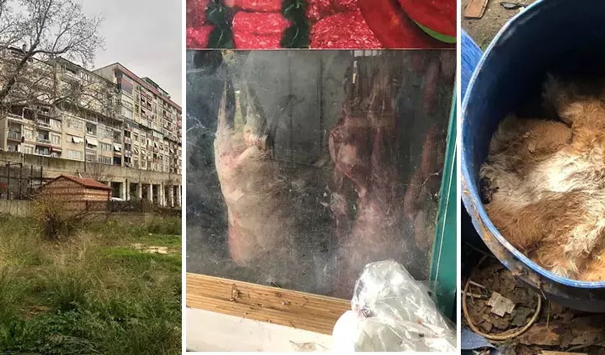 Bursa'da rezalet görüntü! İnsan sağlığını hiçe saydılar