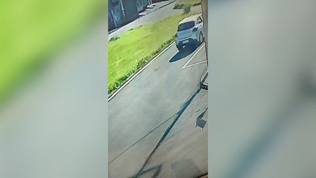 Gato morre ao ser atropelado por carro em Cascavel; imagens fortes