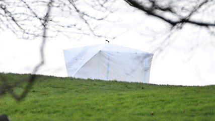 Boy, 16, stabbed to death in one of London's most exclusive suburbs minutes before New Year