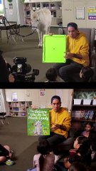 How Zach King Makes his videos entertainment shorts comedy videos.