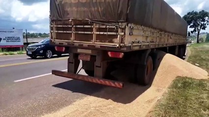 Caminhão apresenta problema e carga de grãos é espalhada na BR-277
